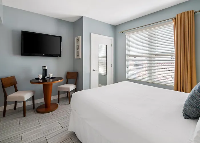 Pets Allowed Hotel Kasa La Flora Miami Beach